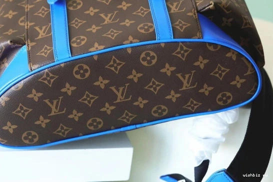 WIS LOUIS VUITTON CHRISTOPHER MM 1225